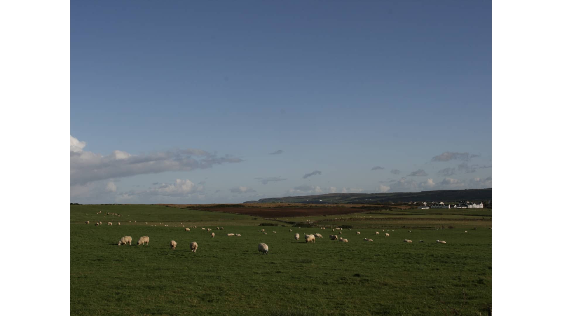 Bushmills, Northern Ireland, UK, 2019, Silver halide prints, 348x424mm